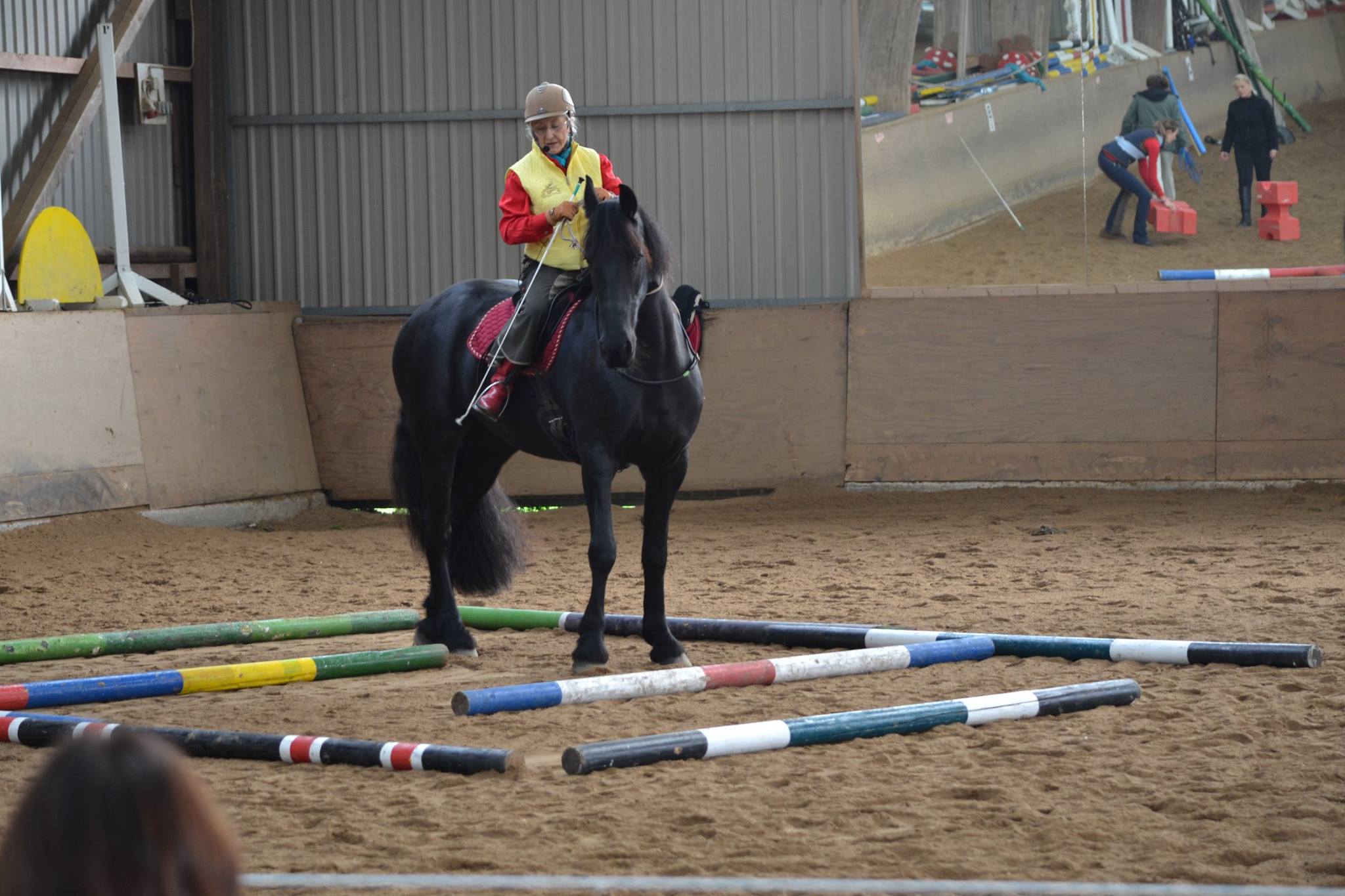 Linda Tellington reitet im Labyrinth (Henstedt-Ulzburg 2014, Bild von Britta Freitag)