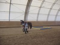 Bodenarbeitskurs 9.1.2011