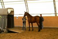 Bodenarbeitskurs 17.4.2011
